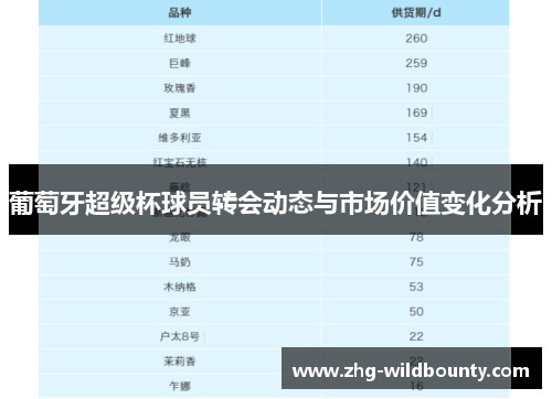 葡萄牙超级杯球员转会动态与市场价值变化分析